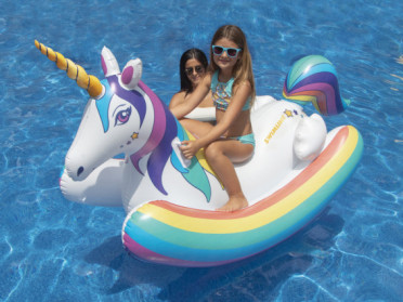 Discover Our Range of Exclusive Pool Toys!